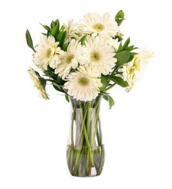Vazoda Beyaz Çiçekler 